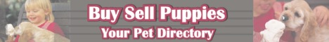 Buy/Sell Puppies Directory