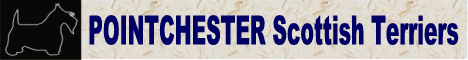 Pointchester Banner Image